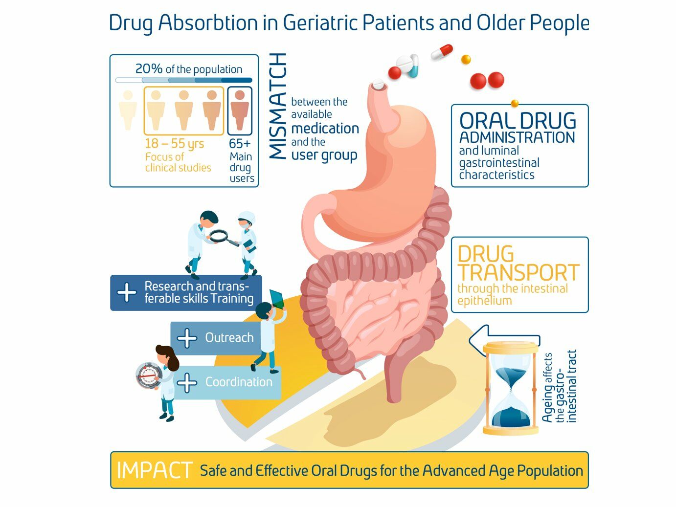 Projekt AGePOP (Drug Absorption in Geriatric Patients and Older People) – ©accelopment Schweiz AG 2020