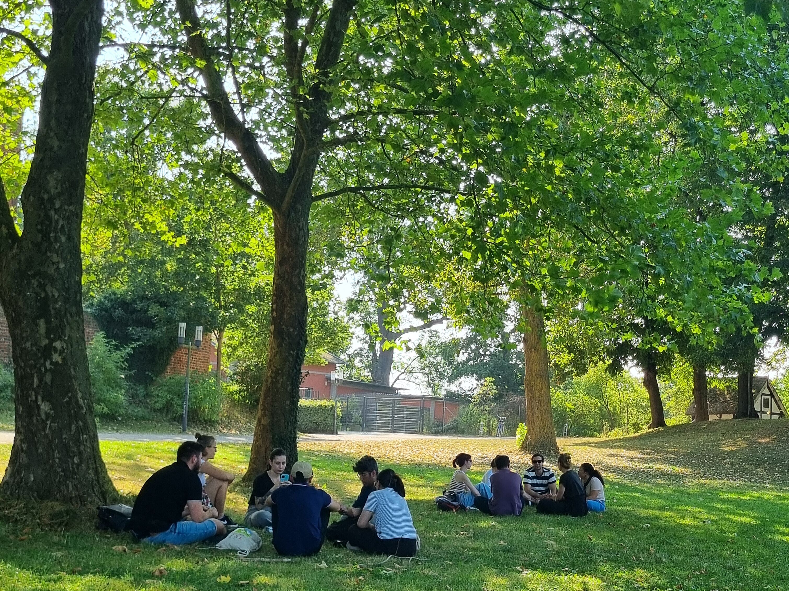 Internationale Studierende in den Greifswalder Credner-Anlagen Internationale Studierende sitzen unter hohen grünen Bäumen in den Greifswalder Credner-Anlagen.