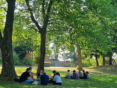 Internationale Studierende sitzen unter hohen grünen Bäumen in den Greifswalder Credner-Anlagen.