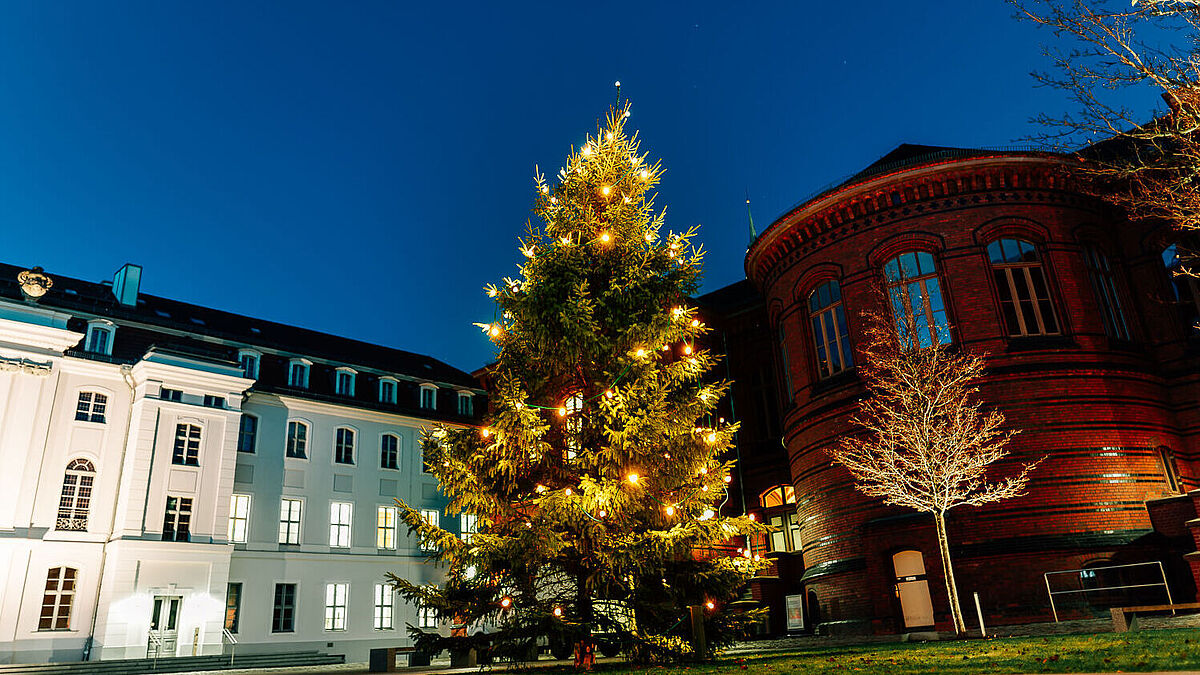 Weihnachtsbaum Innenhof ©Magnus Schult, 2018
