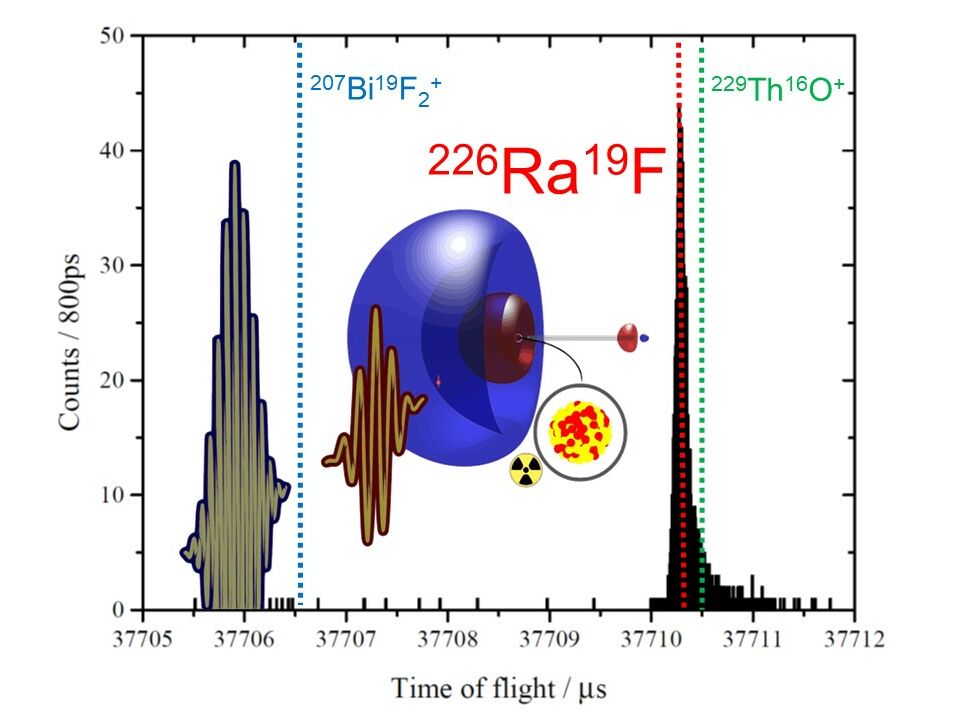  Ausschnitt aus einem Spektrum des Multirefexionsflugzeitmassenspektrometers aus Greifswald zur Identifikation des für die Experimente gewünschten Molekülions, RaF+. Die erwartete Signalposition wird durch die rote gestrichelte Linie angedeutet. Zusätzlich sind die Positionen anderer Ionen eingetragen, die möglicherweise hätten dabei sein können und durch die Messung ausgeschlossen werden konnten. Die eingefügte Graphik veranschaulicht das Radiumfluoridmolekül und seine Ionisation durch zwei Laserpulse. – Grafik: Robert Berger