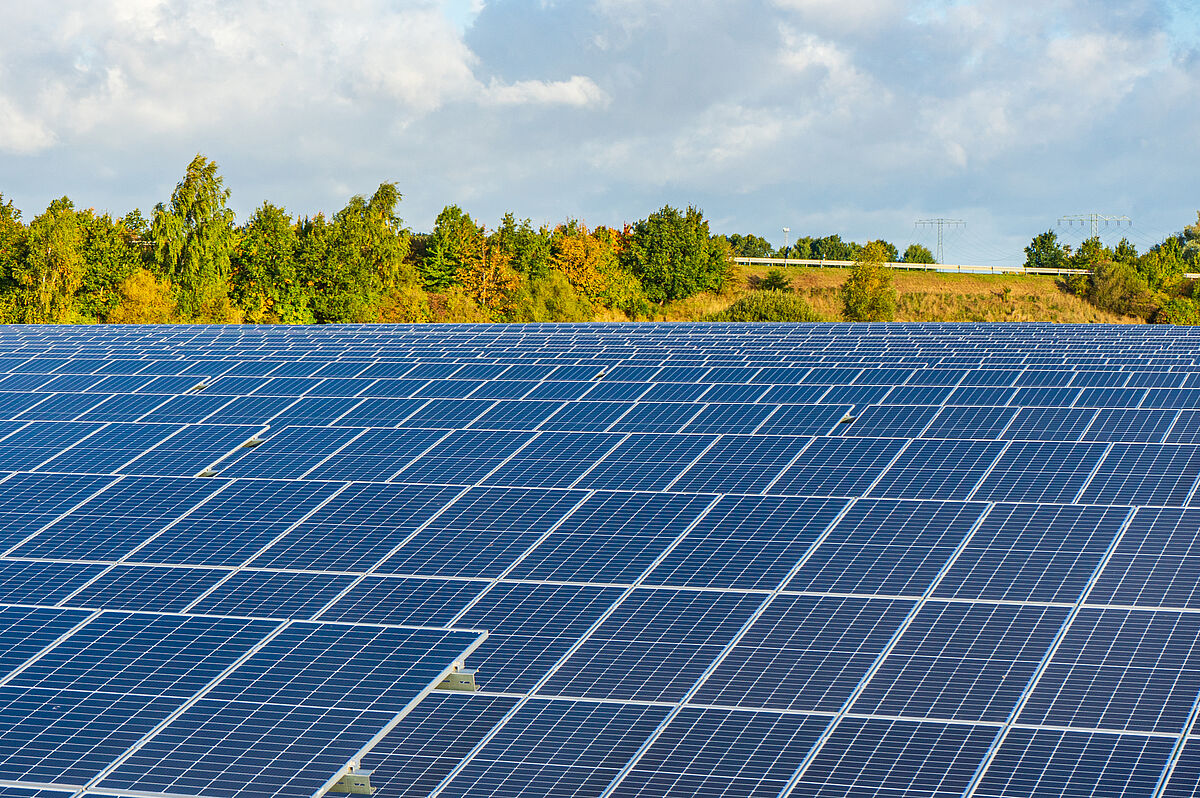 A field with several rows of blue solar panels surrounded by autumnal trees in a rural setting.mgeben von herbstlich gefärbten Bäumen in einer ländlichen Umgebung.