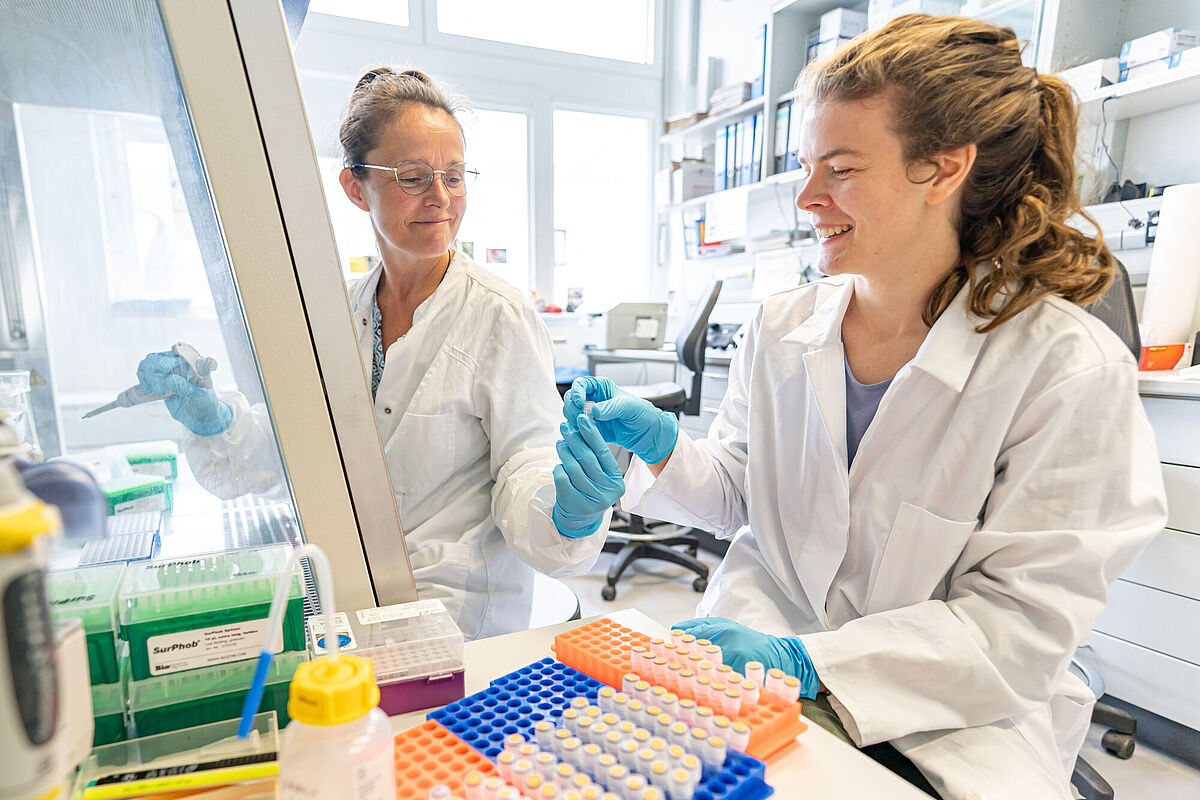 Symbolbild Arbeitgebermarketing Zoologie