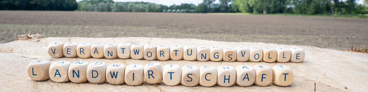 Auf dem Symbolbild sind Buschatabensteine mit dem Text Verantwortungsvolle Landwirtschaft zu sehen. Dahinter ist ein Feld.