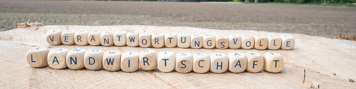Symbolbild verantwortungsvolle Landwirtschaft Auf dem Symbolbild sind Buschatabensteine mit dem Text Verantwortungsvolle Landwirtschaft zu sehen. Dahinter ist ein Feld.