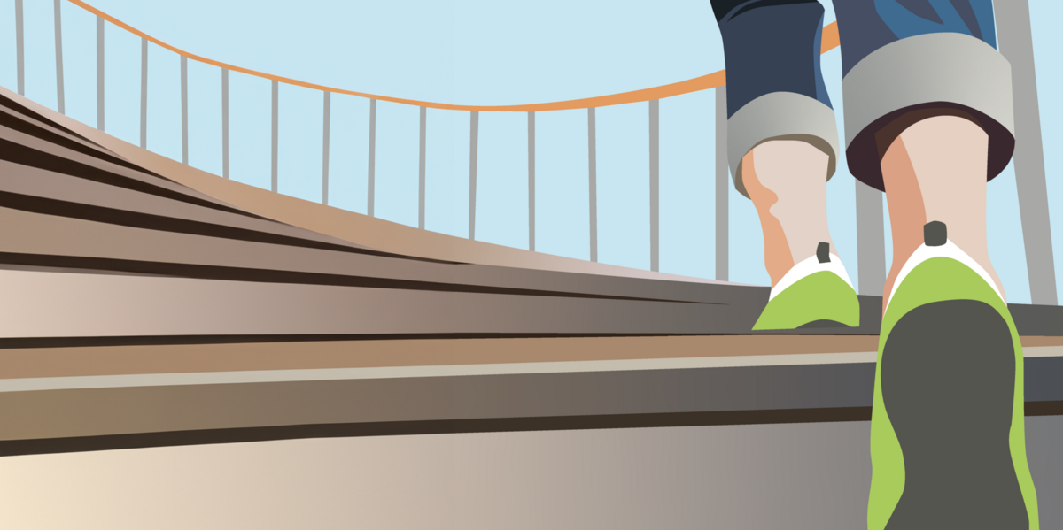 Grafik Professorinnenprogramm