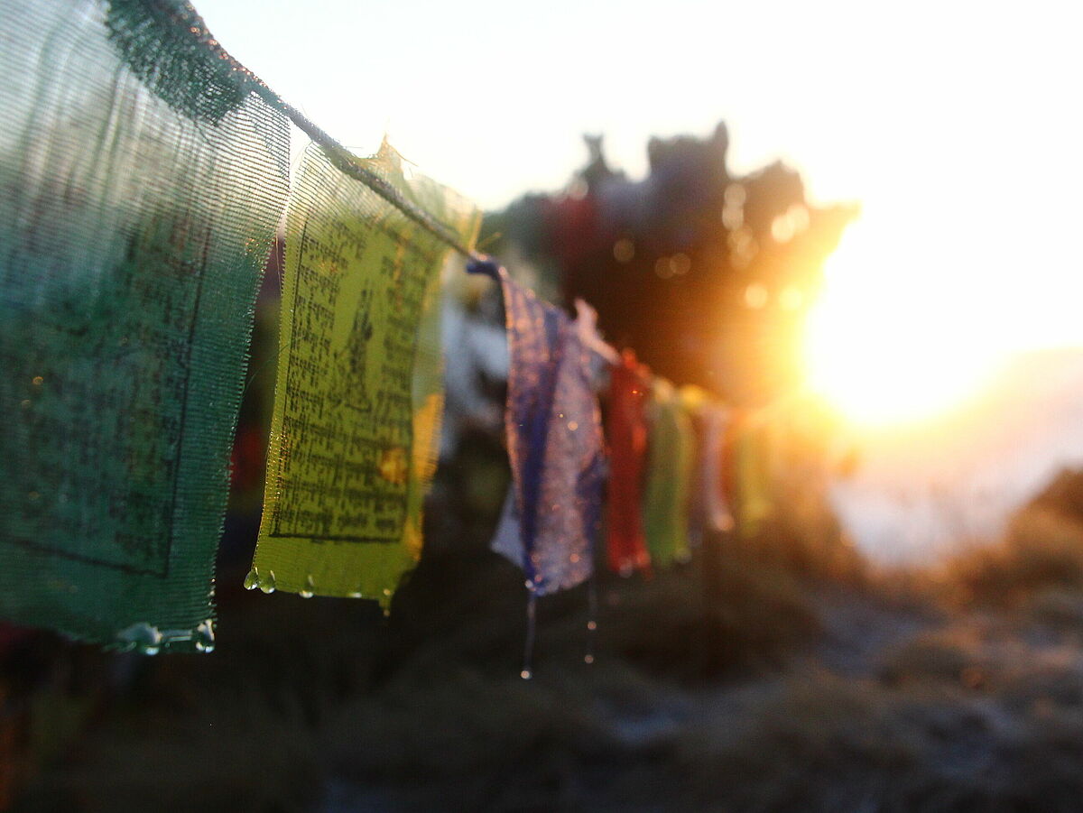 Pennants in Nepal – Photo: Judith Hohmann