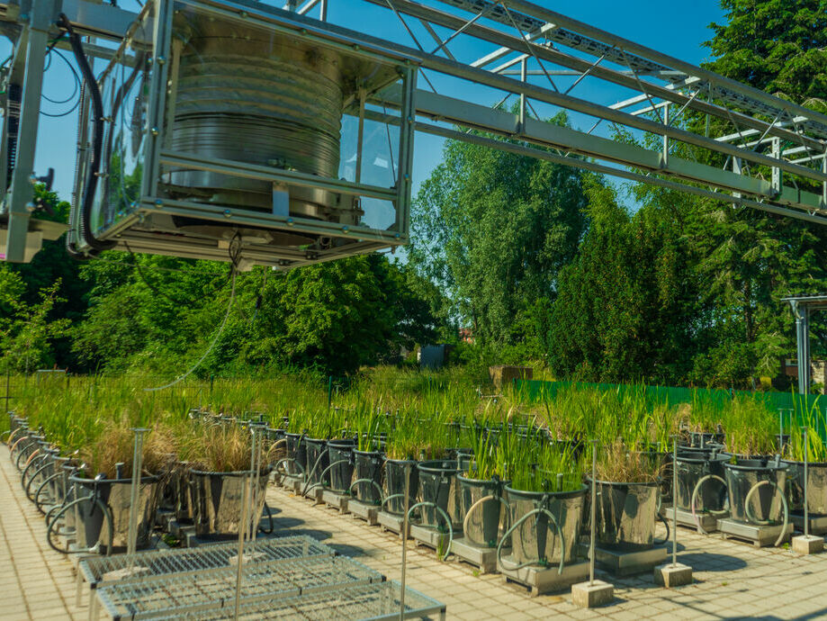 Mesocosm facility in Greifswald © Jan Meßerschmidt, 2021