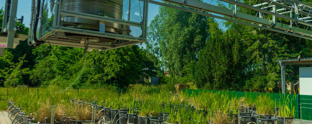 Symbolbild Bioeconomy ©Jan Messerschmidt 2021