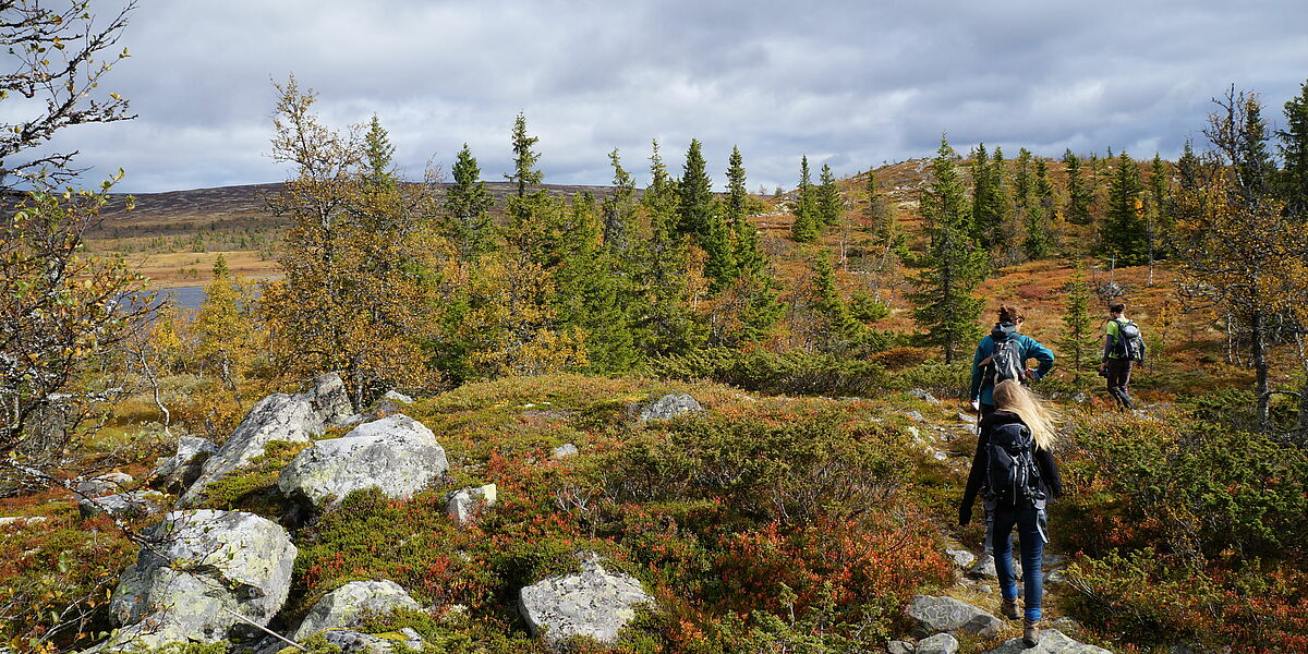 Naturpfad - Foto: Alex Seliger