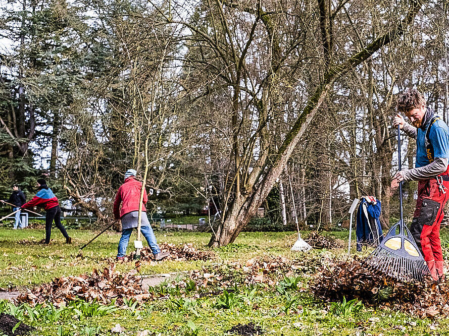 Mehrere Personen fegen buntes Herbstlaub im Arboretum zusammen.