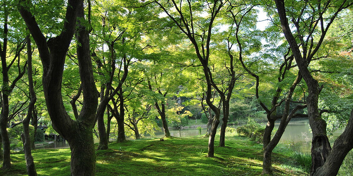 Botanischer Garten - Foto: Sarah Thiele