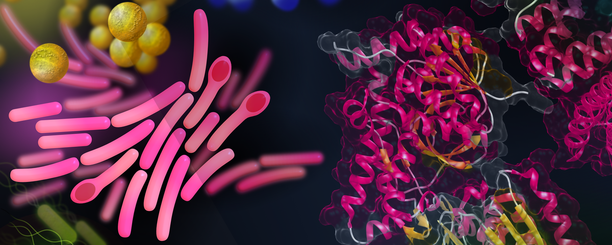 Proteomics and Protein Technologies 