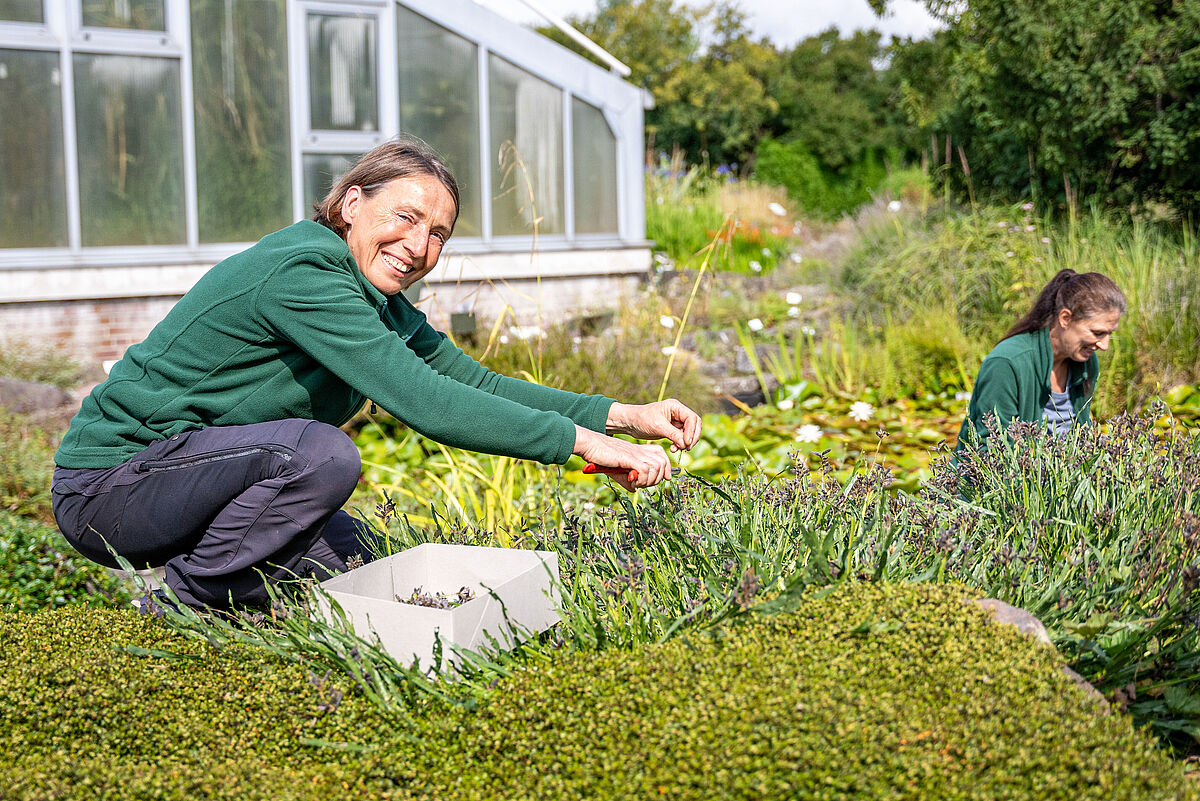 Eine freundlich lächelnde Frau hockt in einem grünen Garten. Im Hintergrund sieht man das helle Historische Gewächshaus in Greifswald.