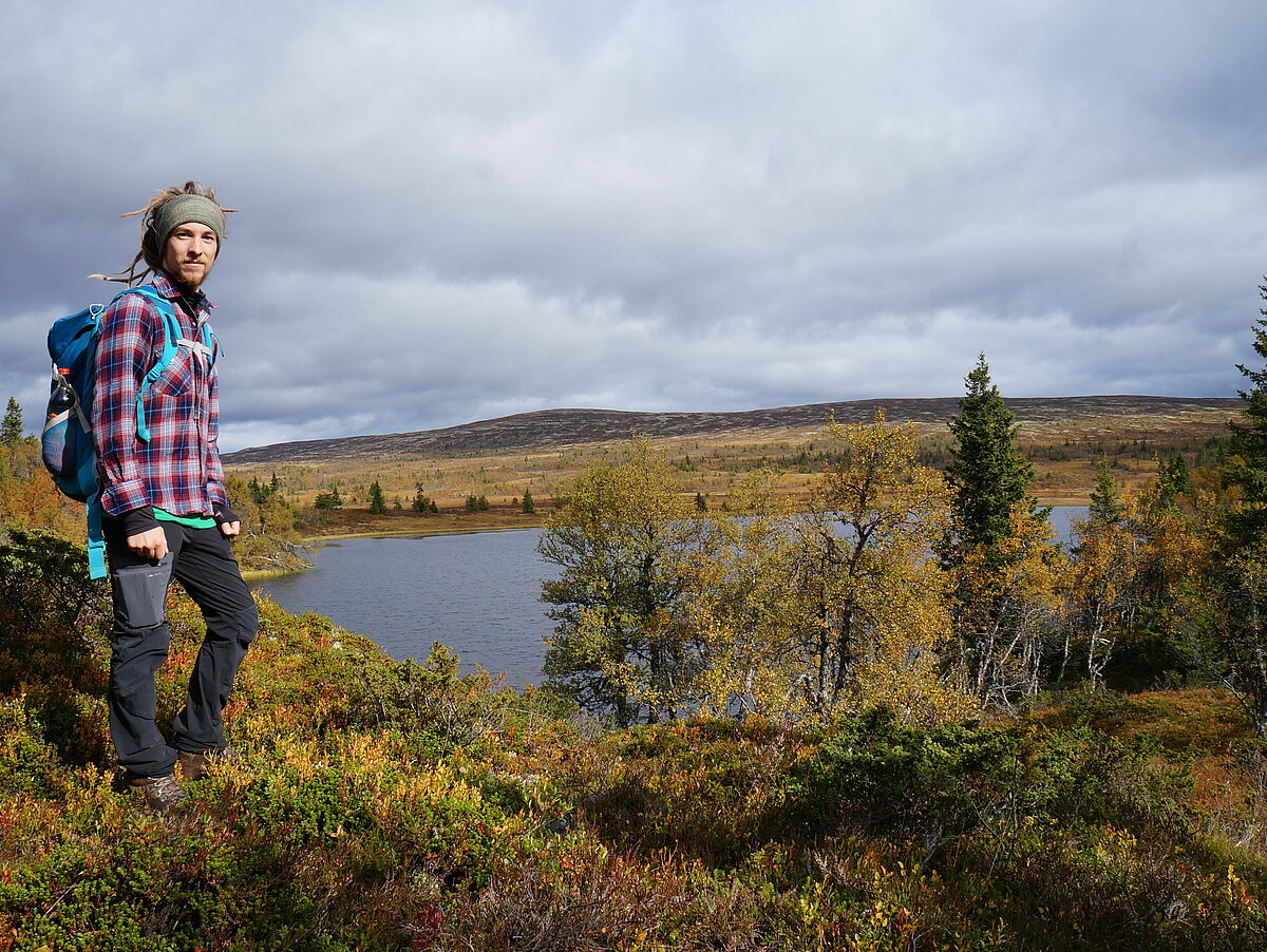 Panorama norwegische Landschaft mit Person