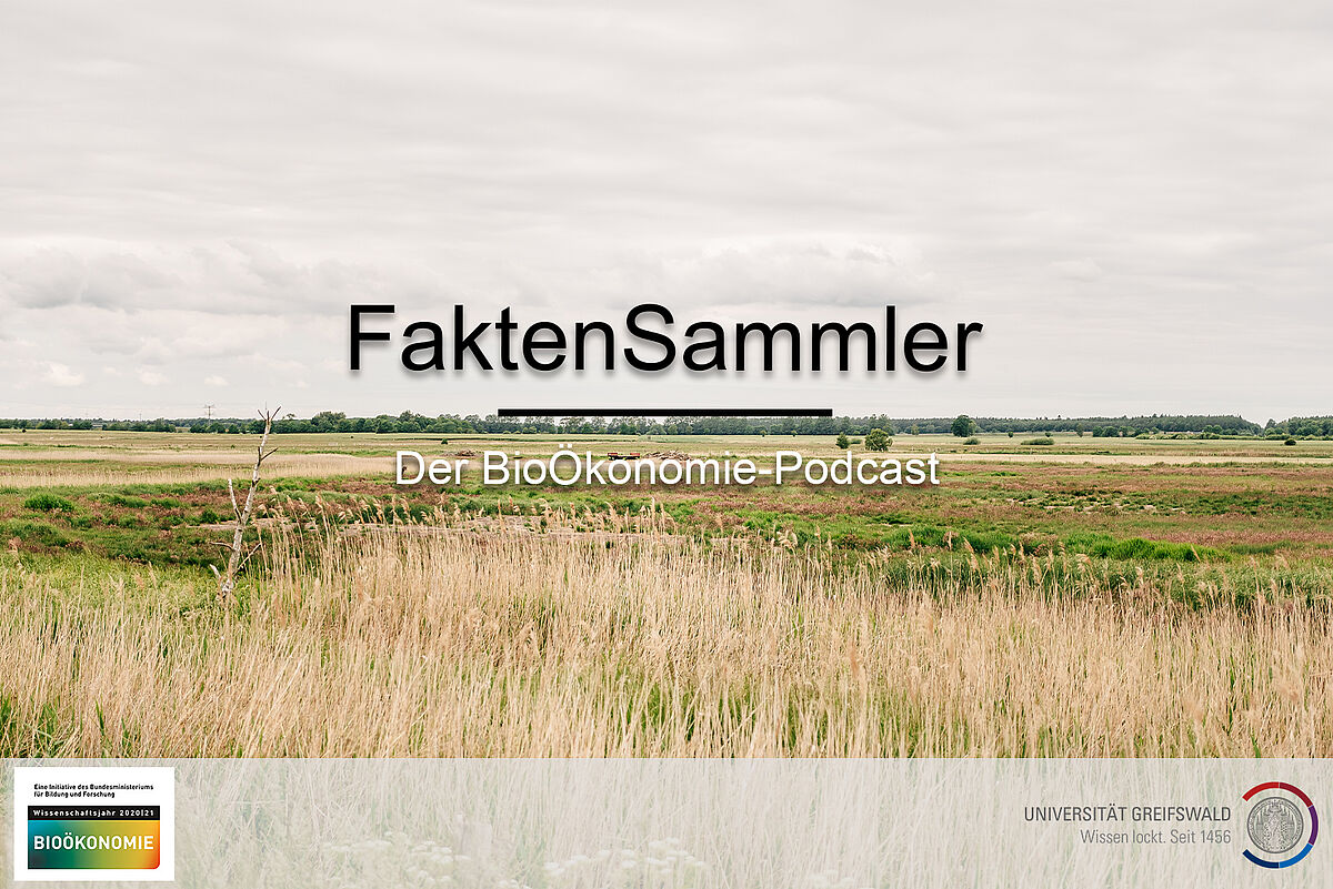 Symbolbild zum Podcast „FaktenSammler“ der Universität Greifswald – Foto: ©Ole_Kracht