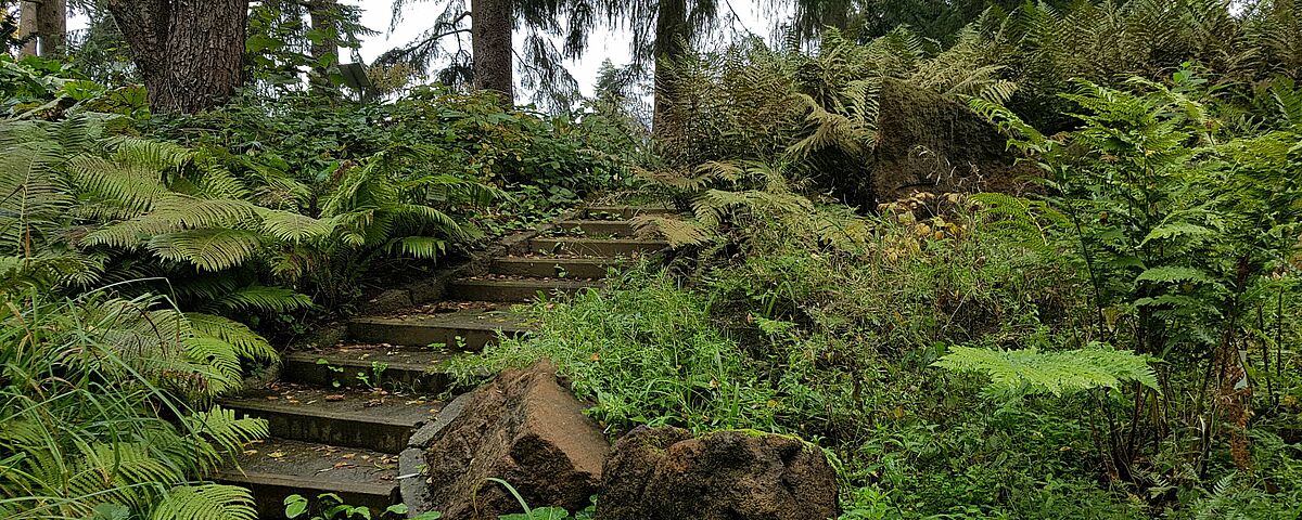 Arboretum - Photo: Magnus Schult