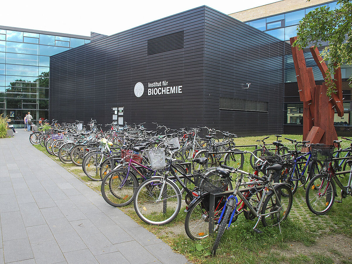 Vor dem Gebäude der Biochemie stehen viele Fahrräder