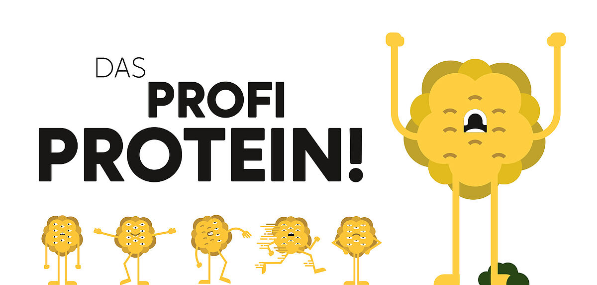 Bioökonomie-Helden: Das Profi-Protein