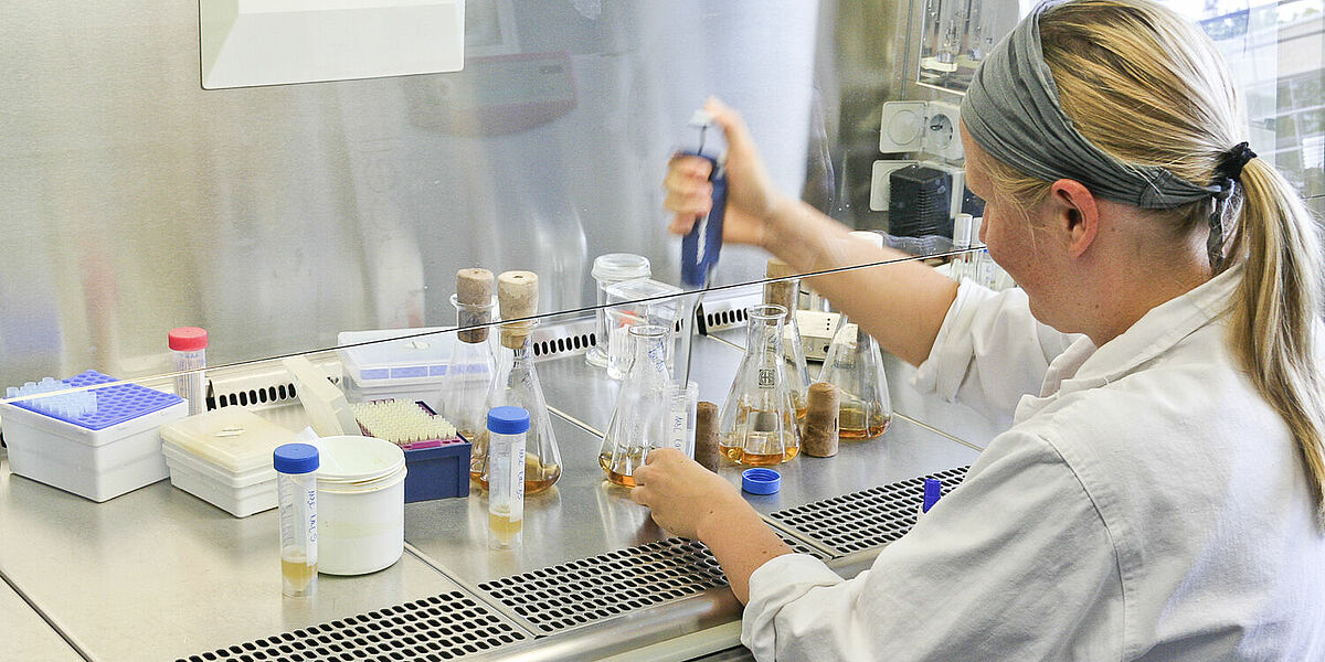 Symbolbild Laborarbeit - Foto:©Universität Greifswald