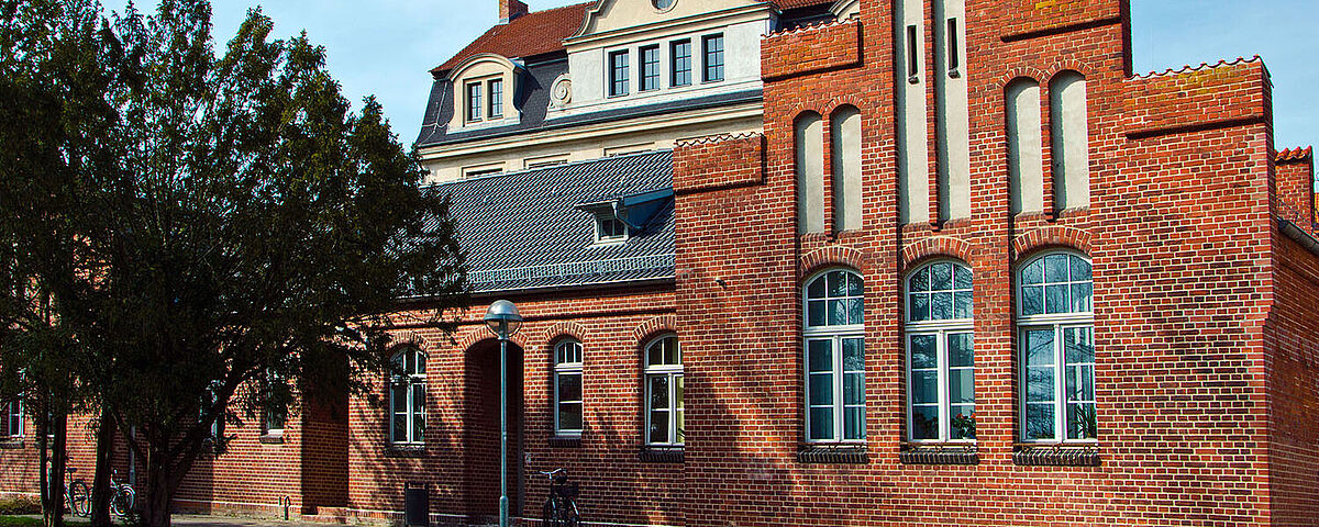 Prüfungs- & Studienordnungen