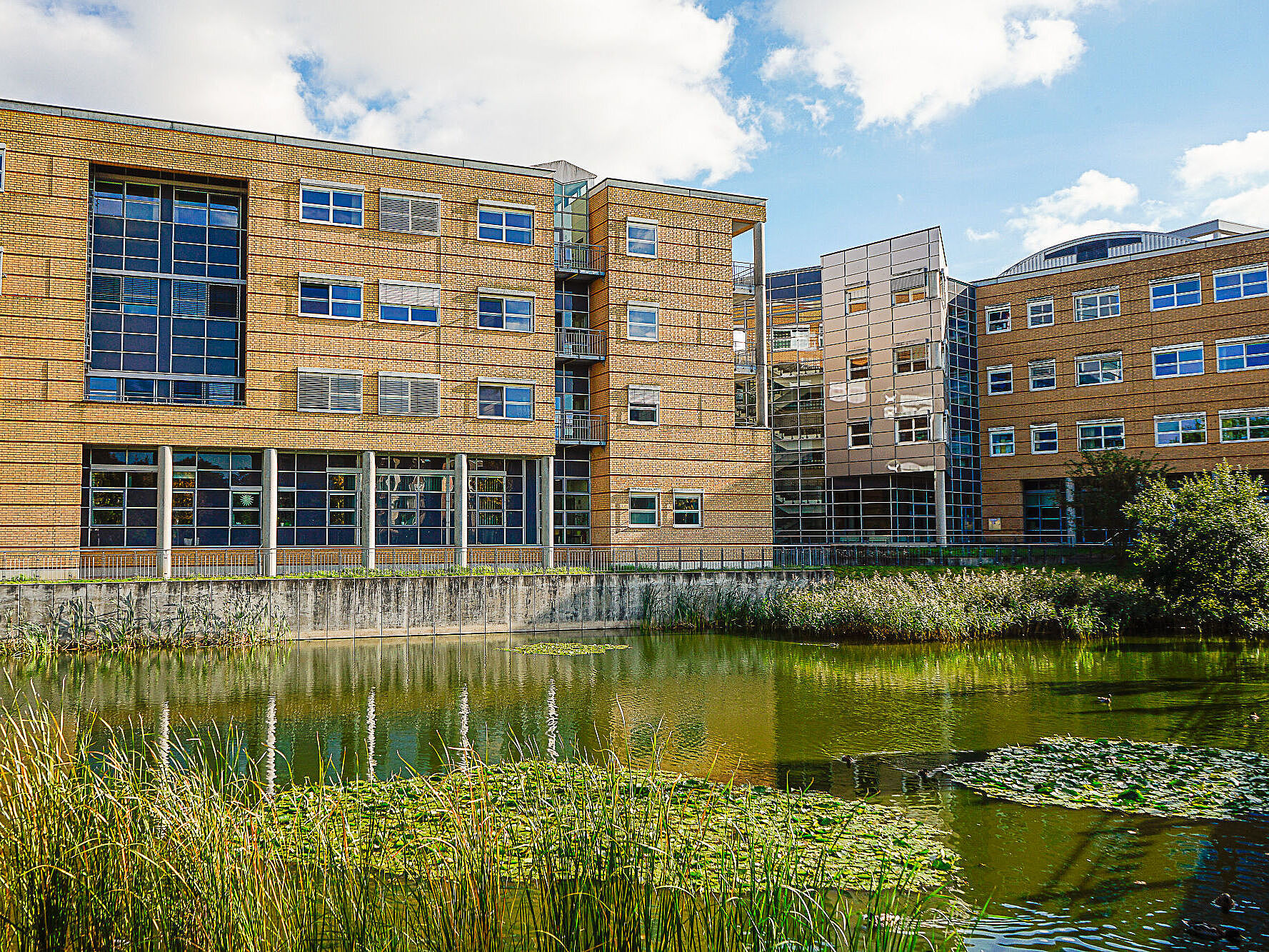 Blick auf den kleinen Teich am Campus Beitzplatz vor der Universitätsmedizin