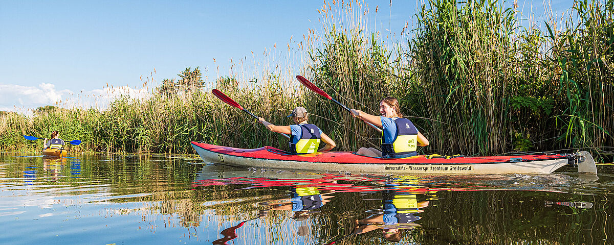 A kayak with two persons paddling away from the photographer on the Ryck passed a wall of bulrushes. Further kayaks belonging to the same course can be seen in the distance.