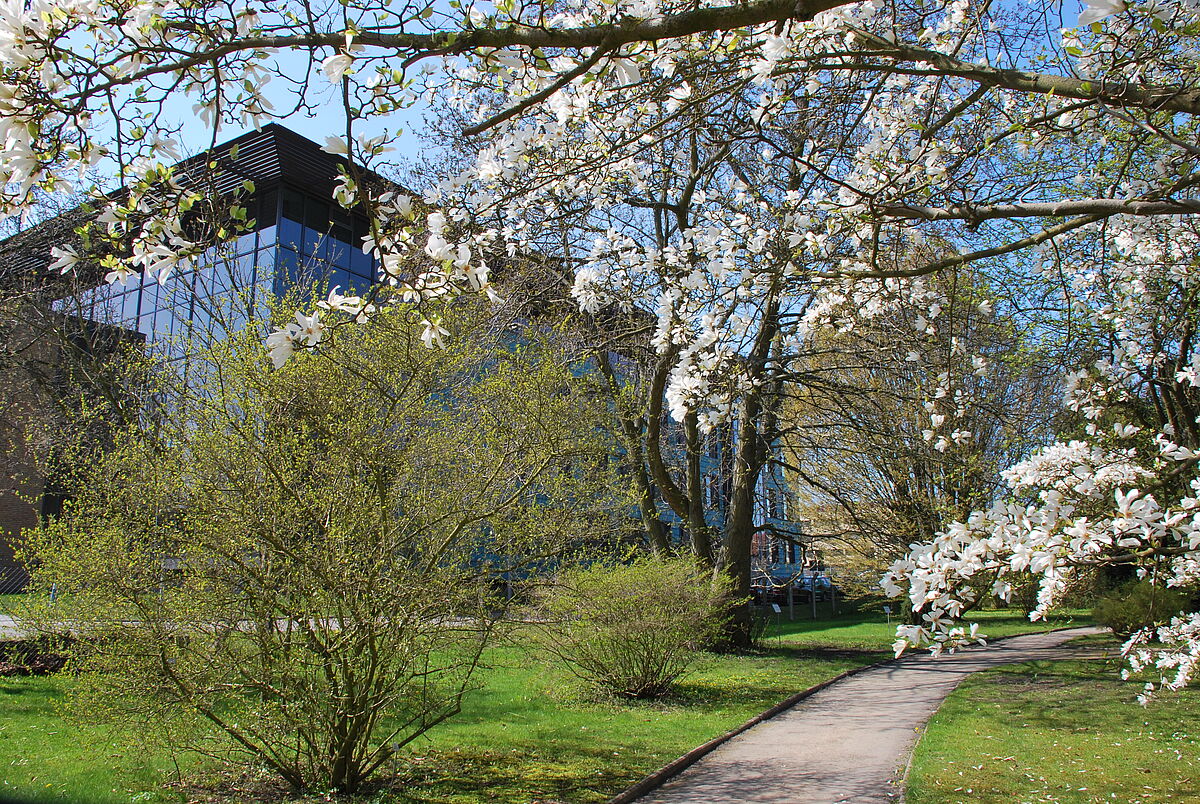 Arboretum - Foto: Jan Meßerschmidt