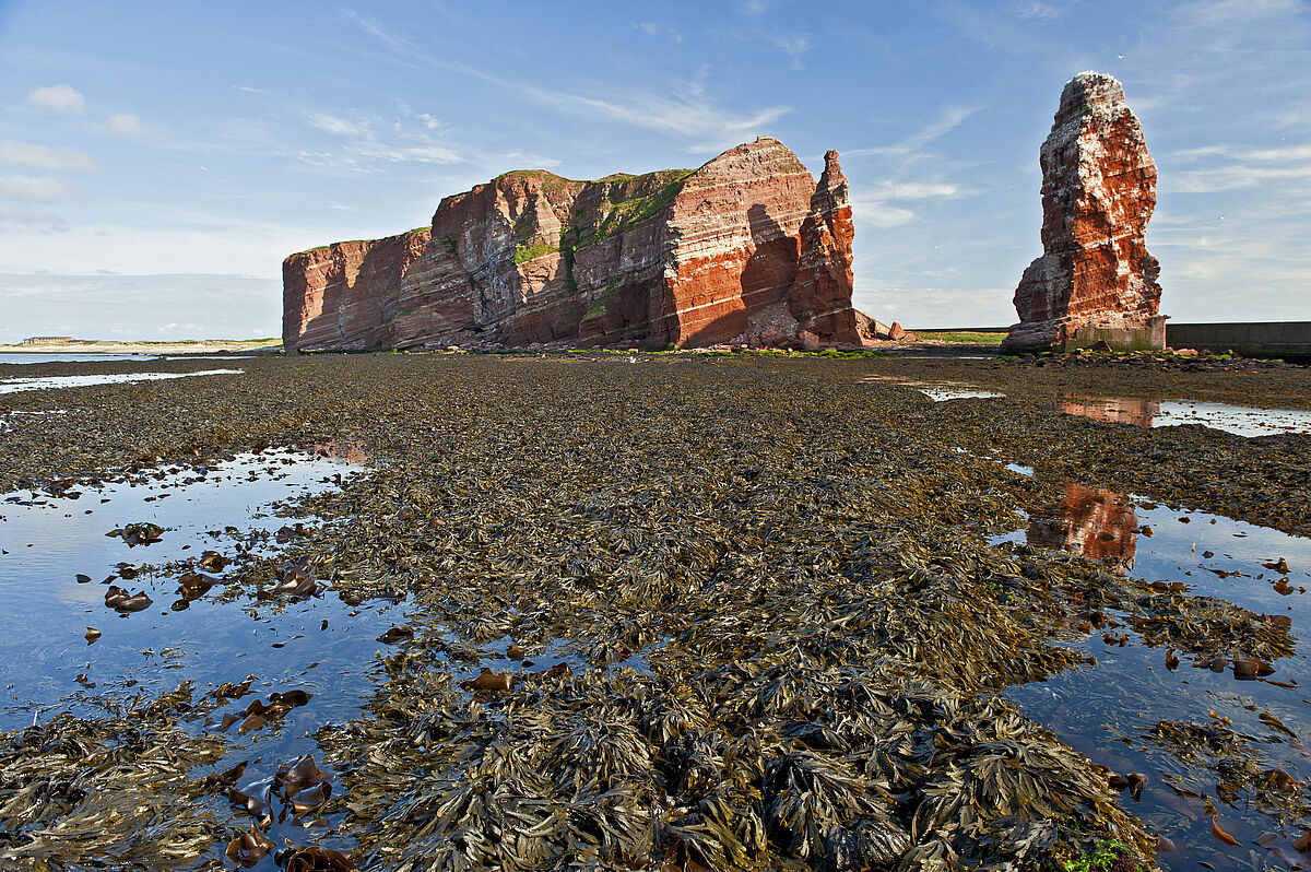 Helgoland – Photo: Alfred Wegener Institute / Uwe Nettelmann