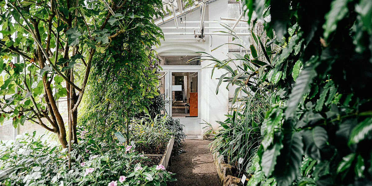 Public Greenhouses