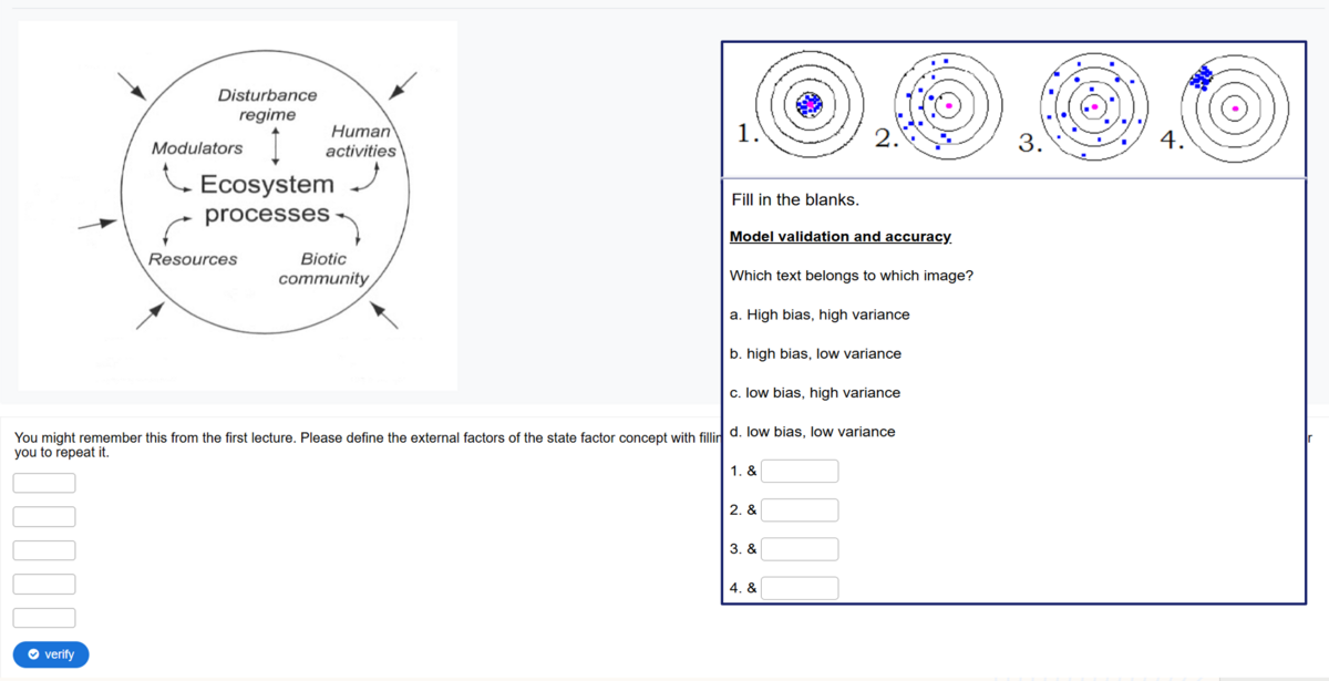 Wissensabfrage in der Moodleumgebung