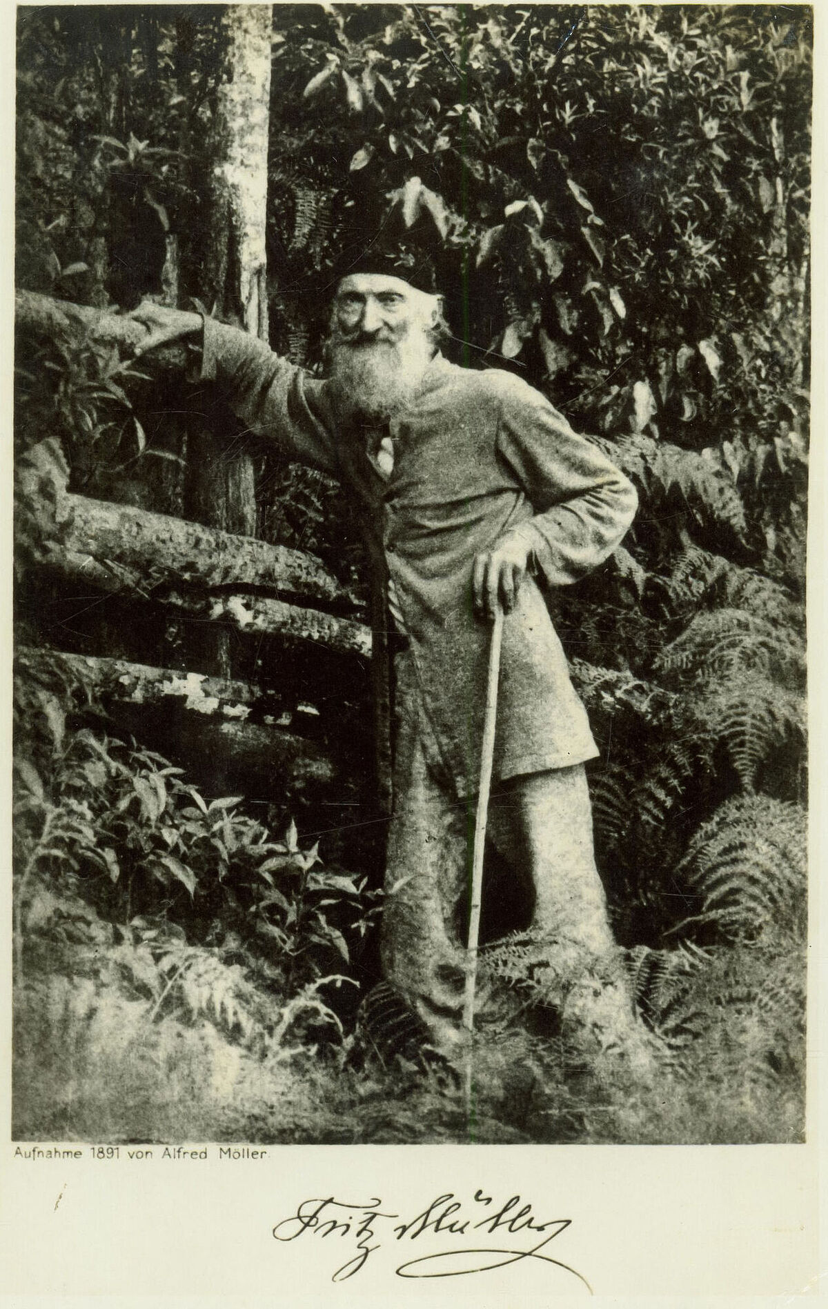 Auf einer historischen Postkarte ist Johann Friedrich Theodor (Fritz) Müller abgebildet. Er steht im brasilianischen Urwald.