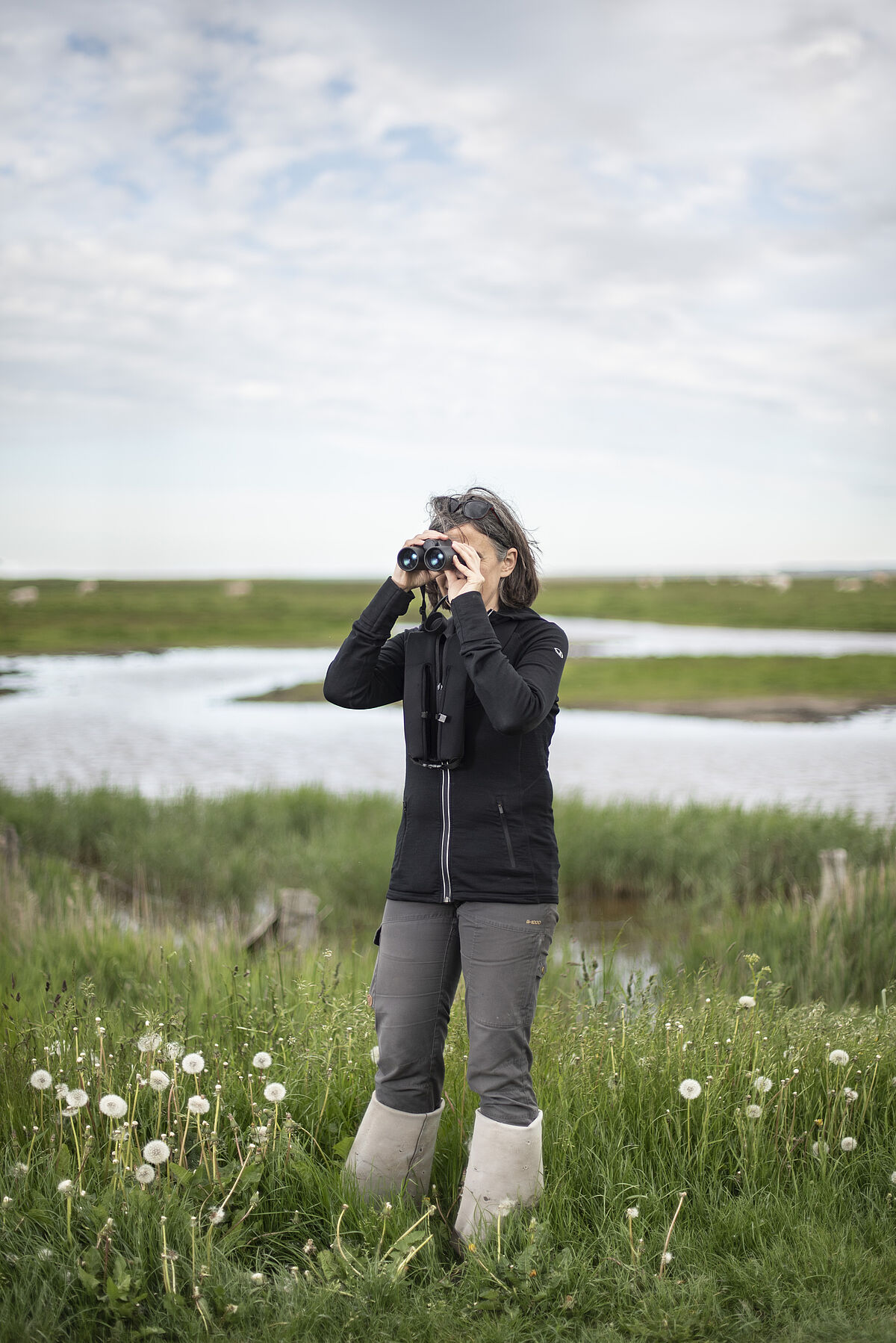 Dr. Franziska Tanneberger - Naturschutzgebiet Insel Koos, Kooser See und Wampener Riff