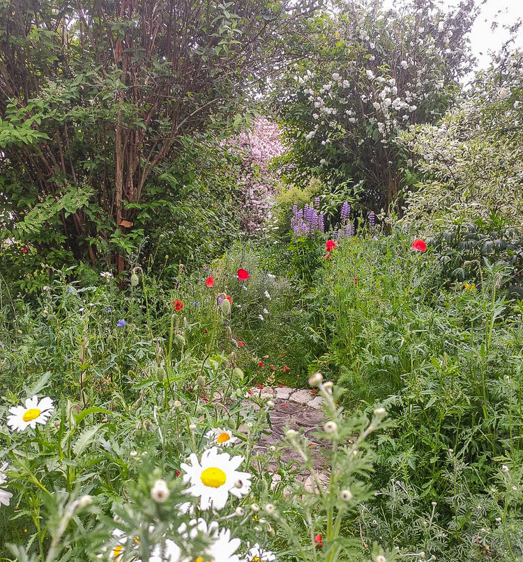 Garten in Ingolstadt, © Katharina Pickl