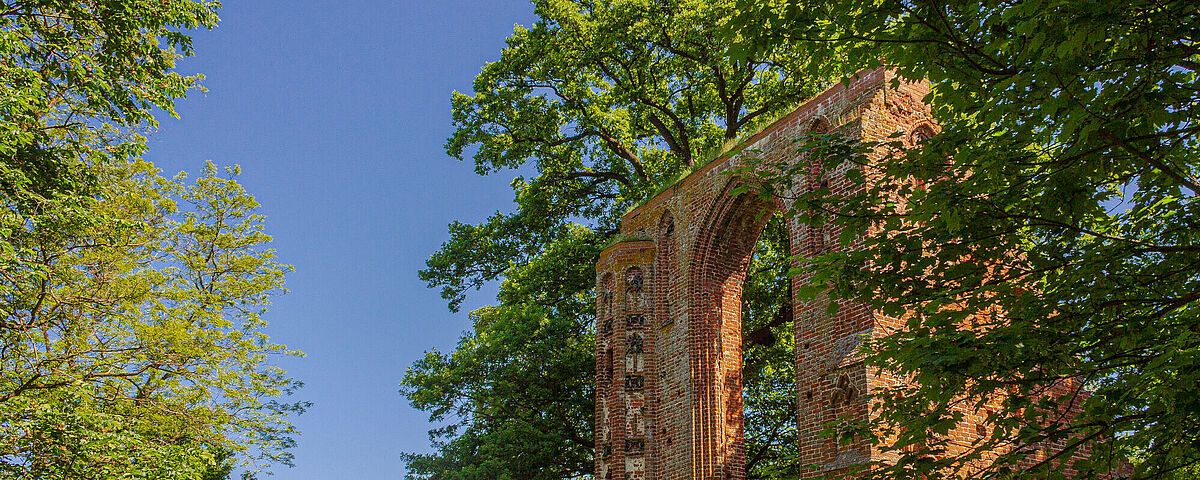 Zwischen grünen Blätterkronen ragt die backsteinerne Klosterruine hervor.
