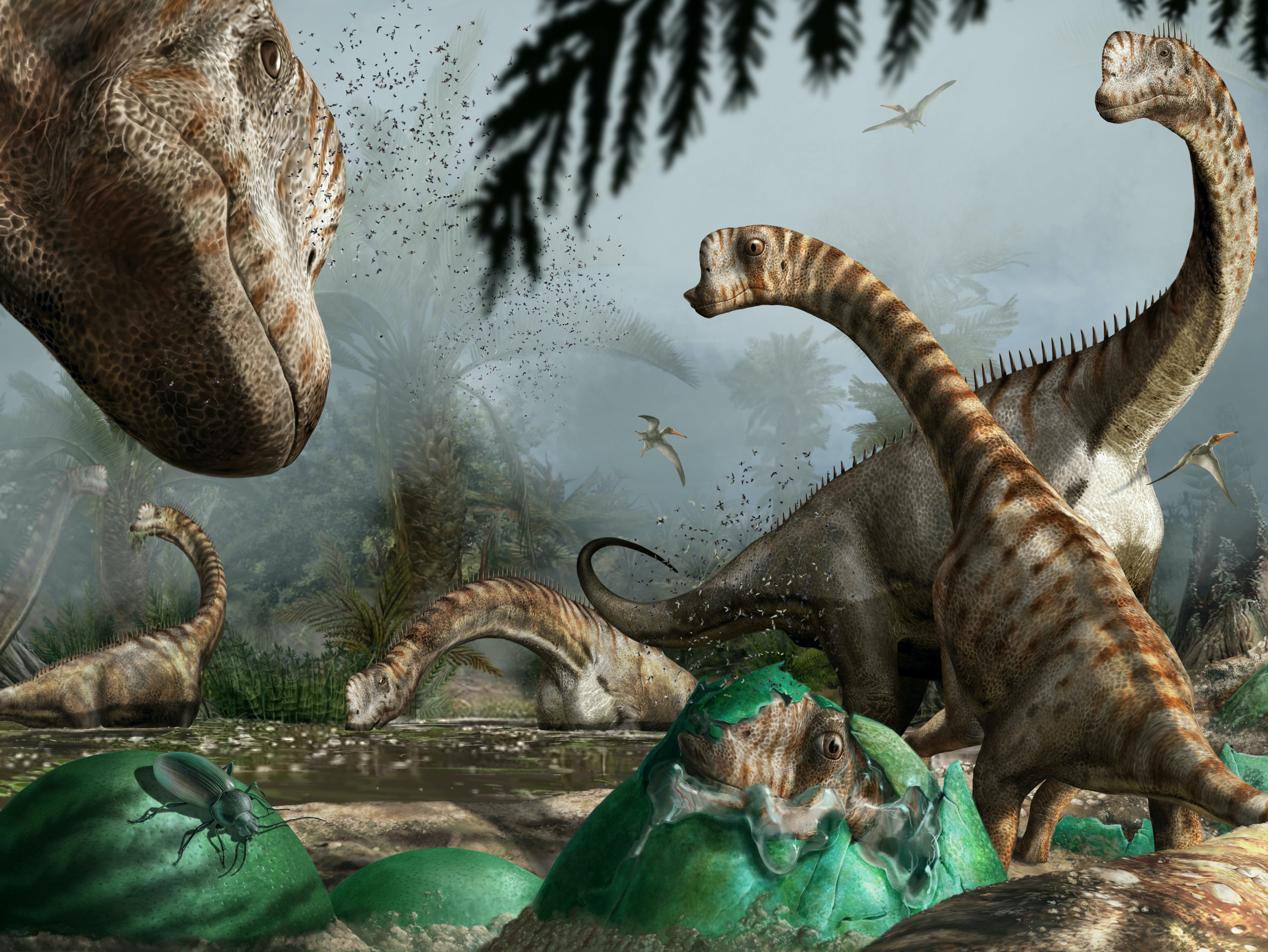 Germany 154 Ma ago: some adults watch over the newly-hatched Europasaurus chicks which are leaving the nest to join their herd. Commissioned artwork by © Davide Bonadonna 