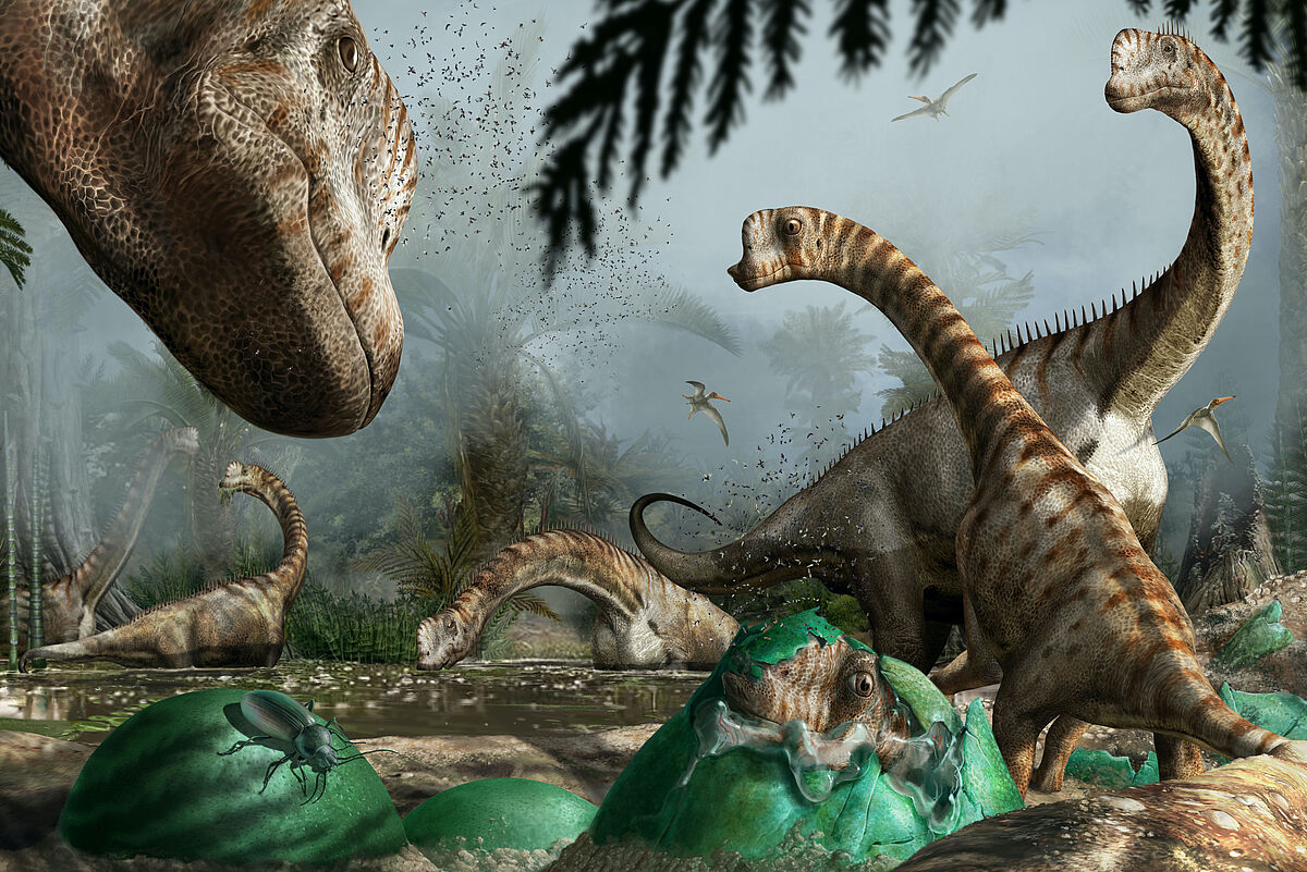 Europasaurus and offspring. Commissioned artwork © Davide Bonadonna