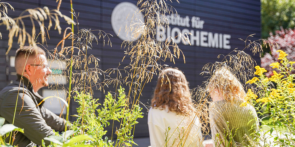 Studierende vor dem Institut für Biochemie Im Vordergrund stehen sonnenbeschienene Plflanzen, zwischen denen man drei Studierende erkennt, die vor einer schwarzen Wand stehen, auf der in großen, weißen Buchstaben "Institut für Biochemie steht".