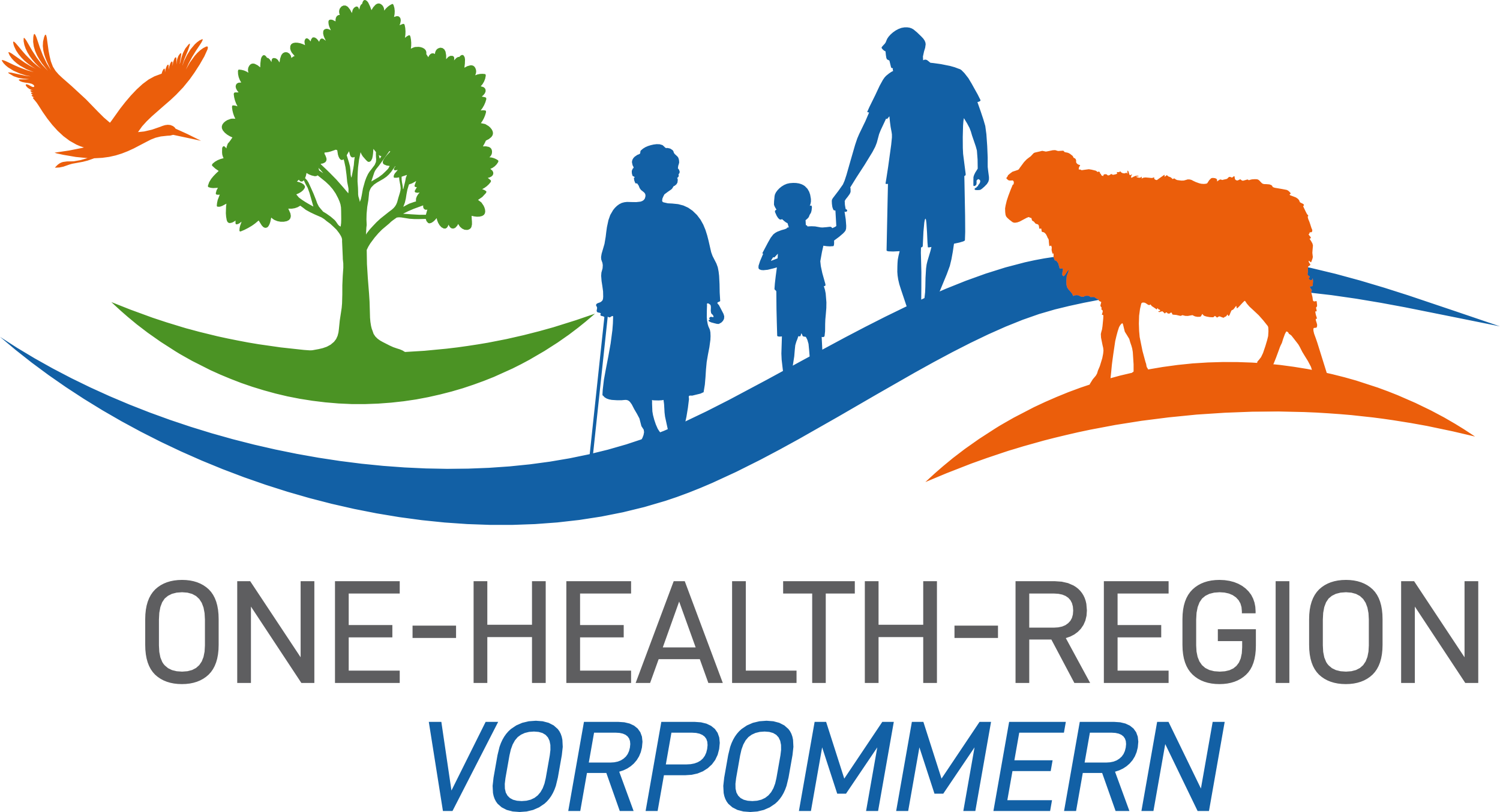 Logo One-Health-Region Vorpommern