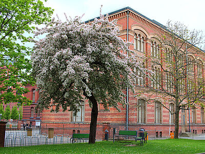 Blick vom Gebäude der Germanistik auf die Alte Universitätsbibliothek