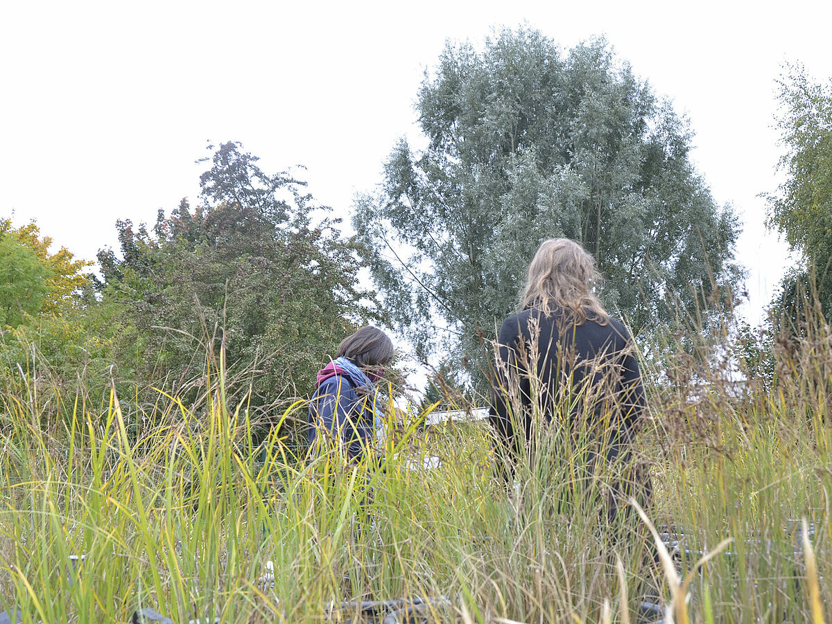 Symbolbild FaktenSammler Moor, Foto: ©Lukas_Voigt