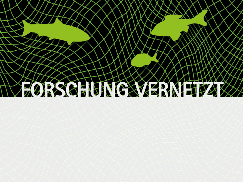 Motiv der Postkarte „Forschung vernetzt“