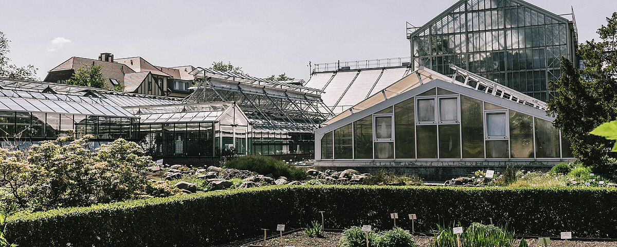 Gewächshäuser im Botanischen Garten - Foto: Till Junker