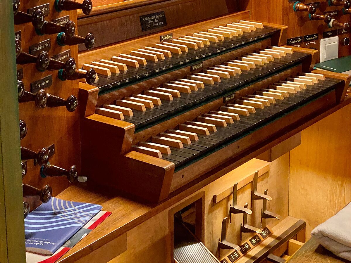 Es ist ein Teil der Orgel des Greifswalder Doms zu sehen.