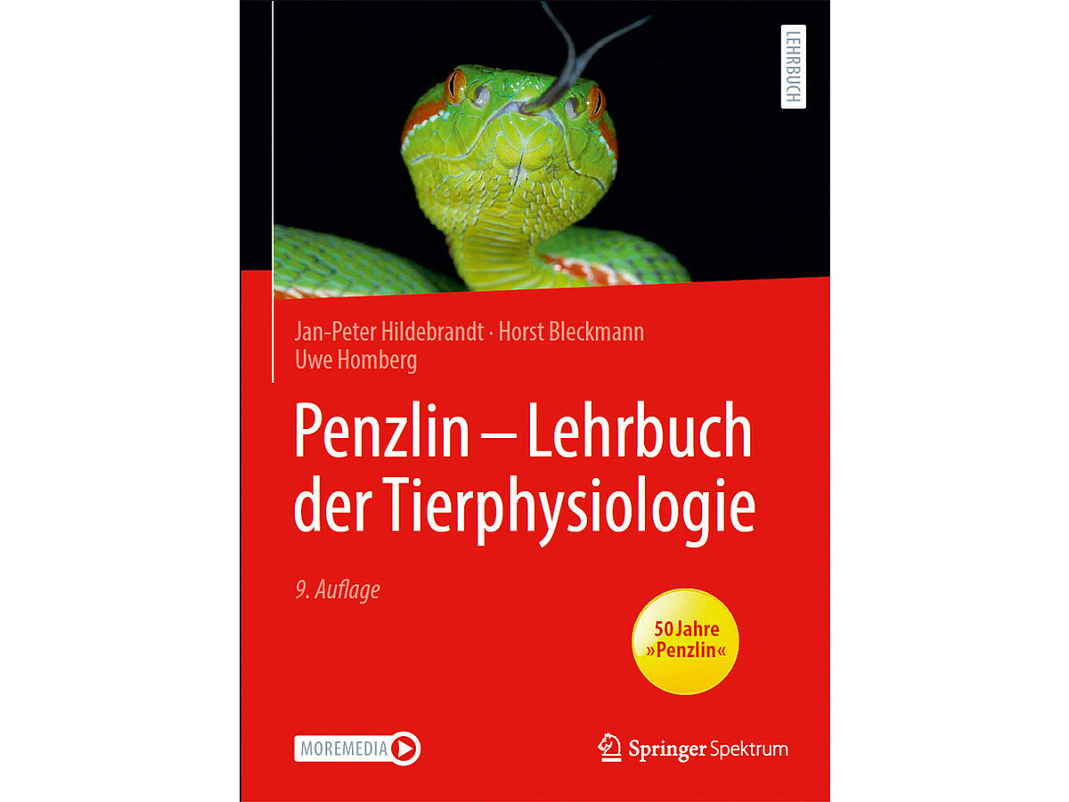 Cover des Lehrbuches, ©Springer-Spektrum