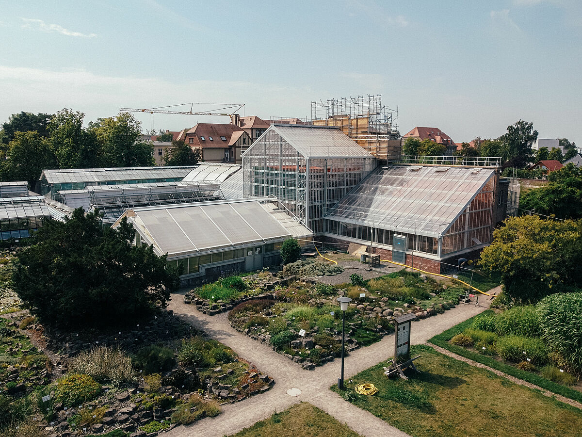 Botanischer Garten Universität Greifswald - Copyright: Magnus Schult