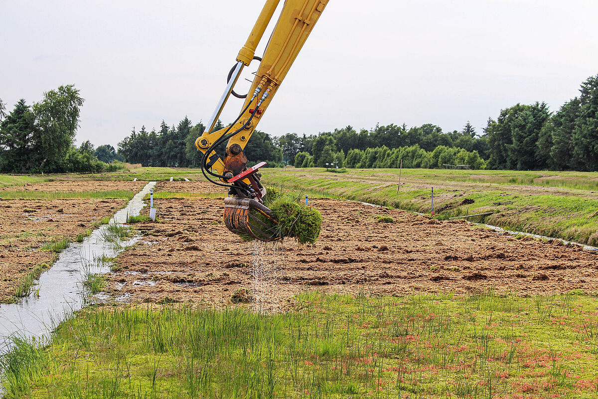 Mechanical harvesting of peat moss from the field trial near Oldenburg, © Greta Gaudig, 2016