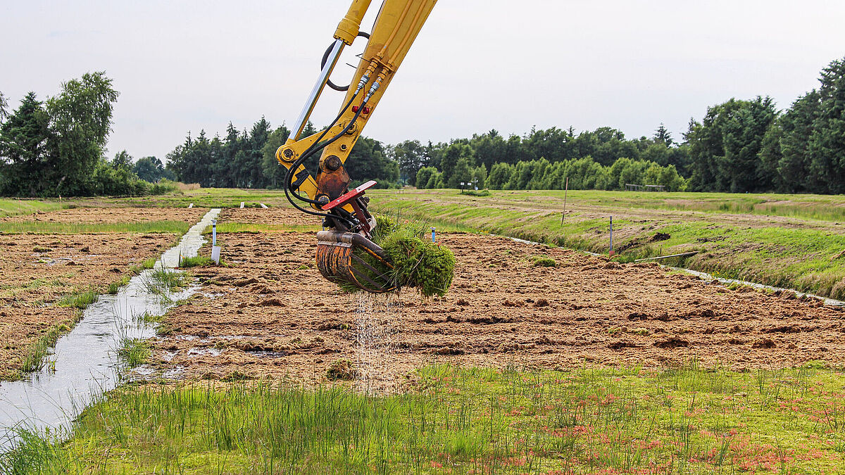 Mechanical harvesting of peat moss, © Greta Gaudig, 2016