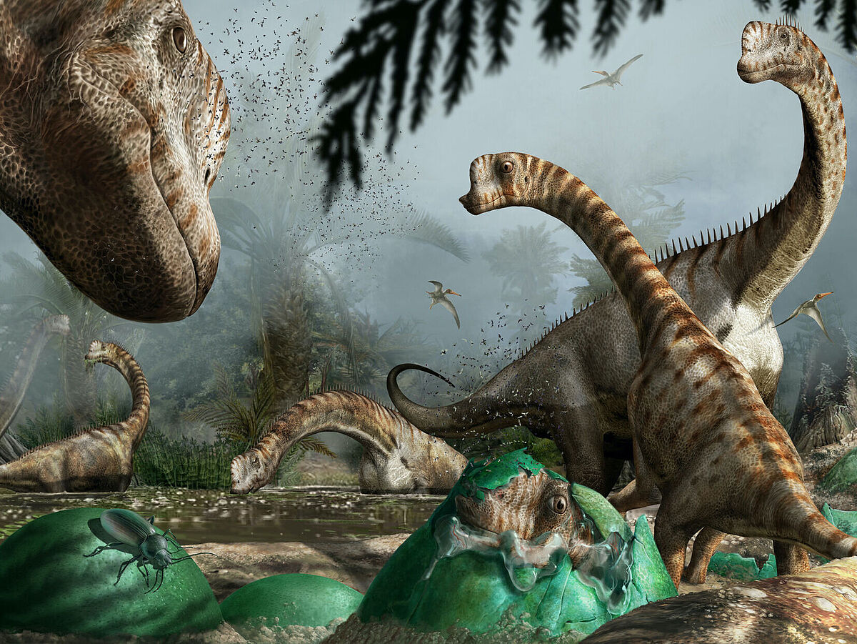 Illustration vom Dinosaurier Europasaurus 