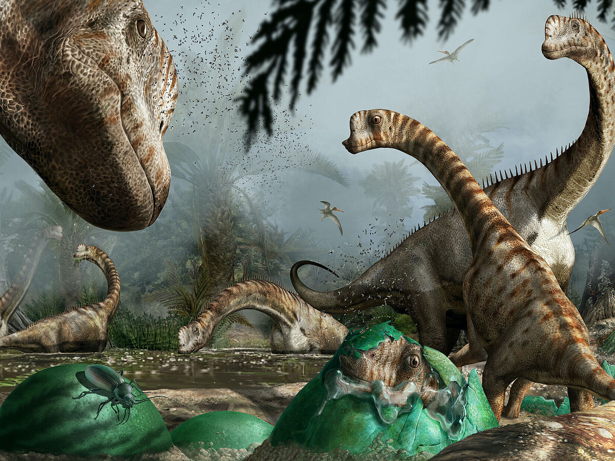 Illustration vom Dinosaurier Europasaurus 